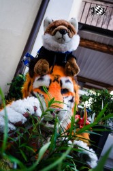 BFD1 0372 von Lee Taiger