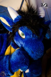 BFD1 0373 von Lee Taiger