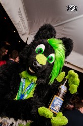 BFD1 0380 von Lee Taiger