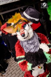 BFD1 0383 von Lee Taiger