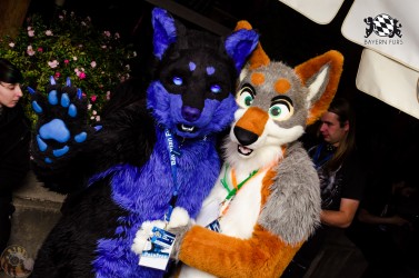 BFD1 0385 von Lee Taiger