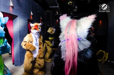 BFD1 0389 von Lee Taiger