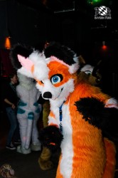 BFD1 0390 von Lee Taiger