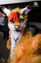 BFD1 0391 von Lee Taiger