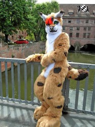 BFD1 0399 von Rolf der Wolf