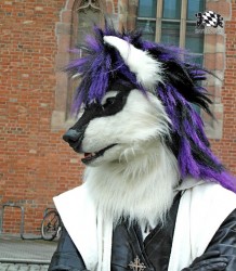 BFD1 0409 von Rolf der Wolf