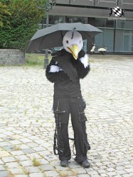 BFD1 0410 von Rolf der Wolf