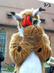 BFD1 0413 von Rolf der Wolf