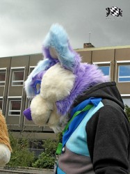 BFD1 0415 von Rolf der Wolf