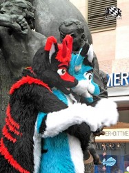 BFD1 0421 von Rolf der Wolf