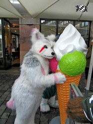 BFD1 0425 von Rolf der Wolf