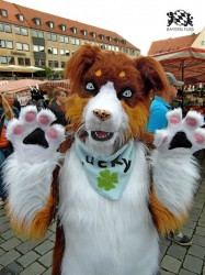 BFD1 0427 von Rolf der Wolf