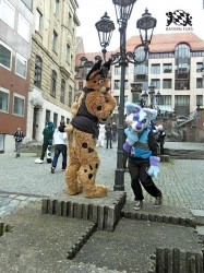 BFD1 0447 von Rolf der Wolf