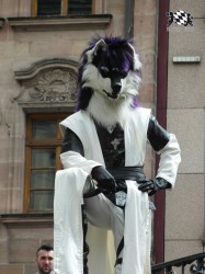 BFD1 0470 von Rolf der Wolf