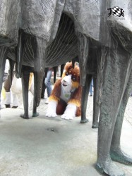 BFD1 0472 von Rolf der Wolf