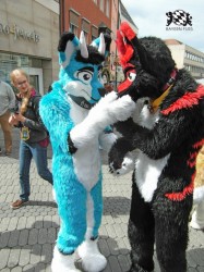 BFD1 0479 von Rolf der Wolf