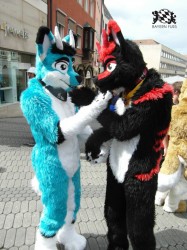 BFD1 0480 von Rolf der Wolf