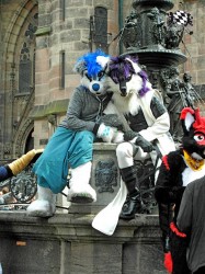 BFD1 0485 von Rolf der Wolf