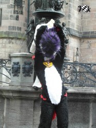 BFD1 0488 von Rolf der Wolf