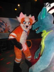 BFD1 0520 von Rolf der Wolf