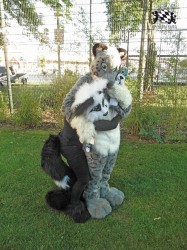 BFD1 0528 von Rolf der Wolf