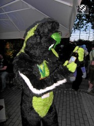 BFD1 0548 von Rolf der Wolf