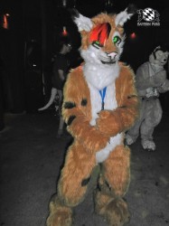 BFD1 0559 von Rolf der Wolf