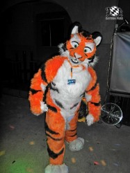 BFD1 0561 von Rolf der Wolf