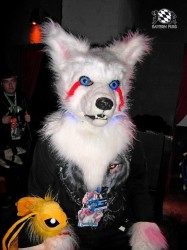 BFD1 0575 von Rolf der Wolf