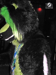 BFD1 0578 von Rolf der Wolf