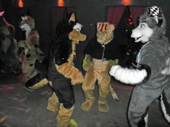 BFD1 0582 von Rolf der Wolf