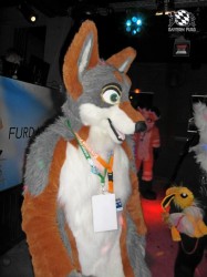 BFD1 0584 von Rolf der Wolf