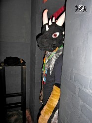 BFD1 0585 von Rolf der Wolf