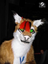 BFD1 0588 von Rolf der Wolf