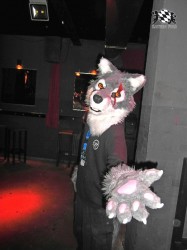 BFD1 0590 von Rolf der Wolf