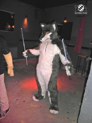 BFD1 0595 von Rolf der Wolf