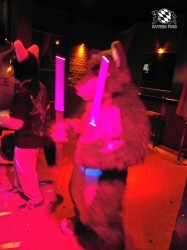 BFD1 0597 von Rolf der Wolf