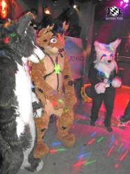 BFD1 0609 von Rolf der Wolf