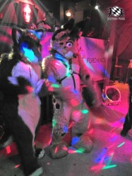 BFD1 0610 von Rolf der Wolf