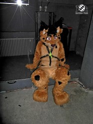 BFD1 0618 von Rolf der Wolf