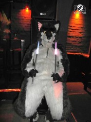 BFD1 0624 von Rolf der Wolf