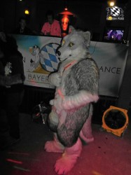 BFD1 0629 von Rolf der Wolf