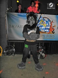 BFD1 0630 von Rolf der Wolf