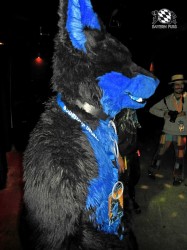 BFD1 0632 von Rolf der Wolf