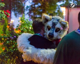 BFD7 0049 von Amee2k