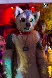 BFD7 0053 von Amee2k