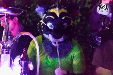 BFD7 0056 von Amee2k