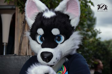 BFD9 0043 von Sidney Kenson