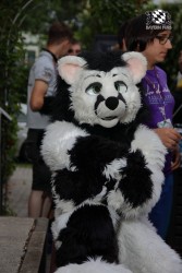 BFD9 0060 von Sidney Kenson