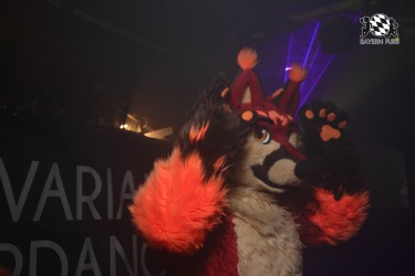 BFD9 0100 von Sidney Kenson